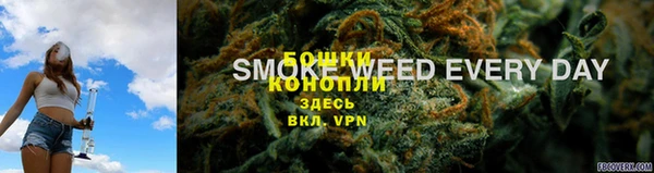 сатива Покров