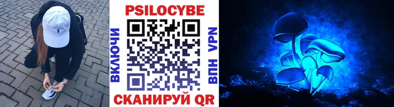 Галлюциногенные грибы Psilocybe Злынка
