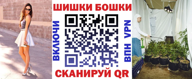 где купить наркоту  Злынка  shop формула  Конопля SATIVA & INDICA 